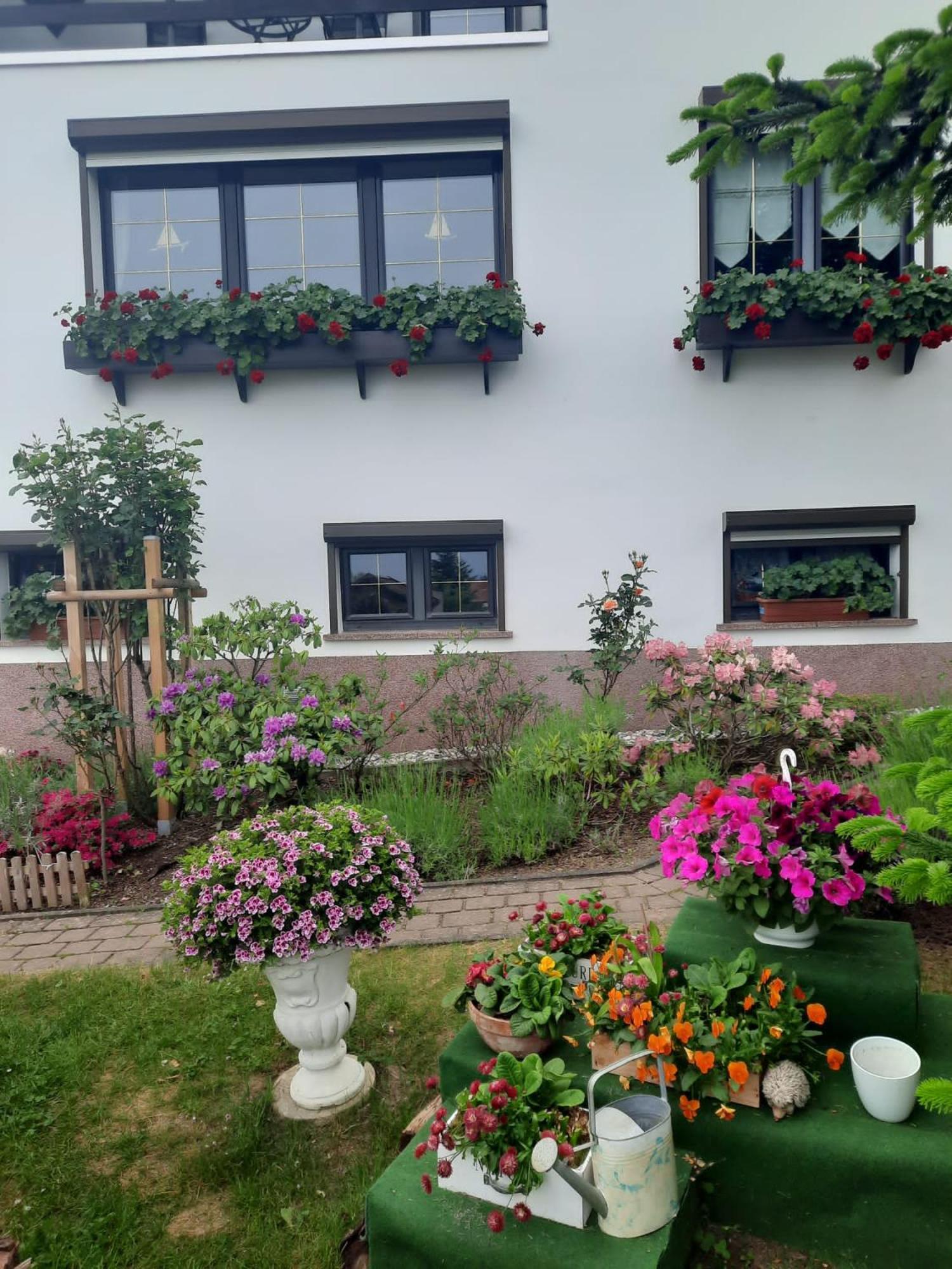 Ferienwohnung"Harzliebe" Gernrode  Exterior foto
